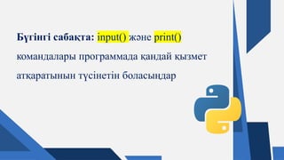 Python Programming Basics: Input, Output, and Data Handling Techniques ...