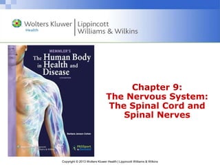Copyright © 2013 Wolters Kluwer Health | Lippincott Williams & Wilkins
Chapter 9:
The Nervous System:
The Spinal Cord and
Spinal Nerves
 