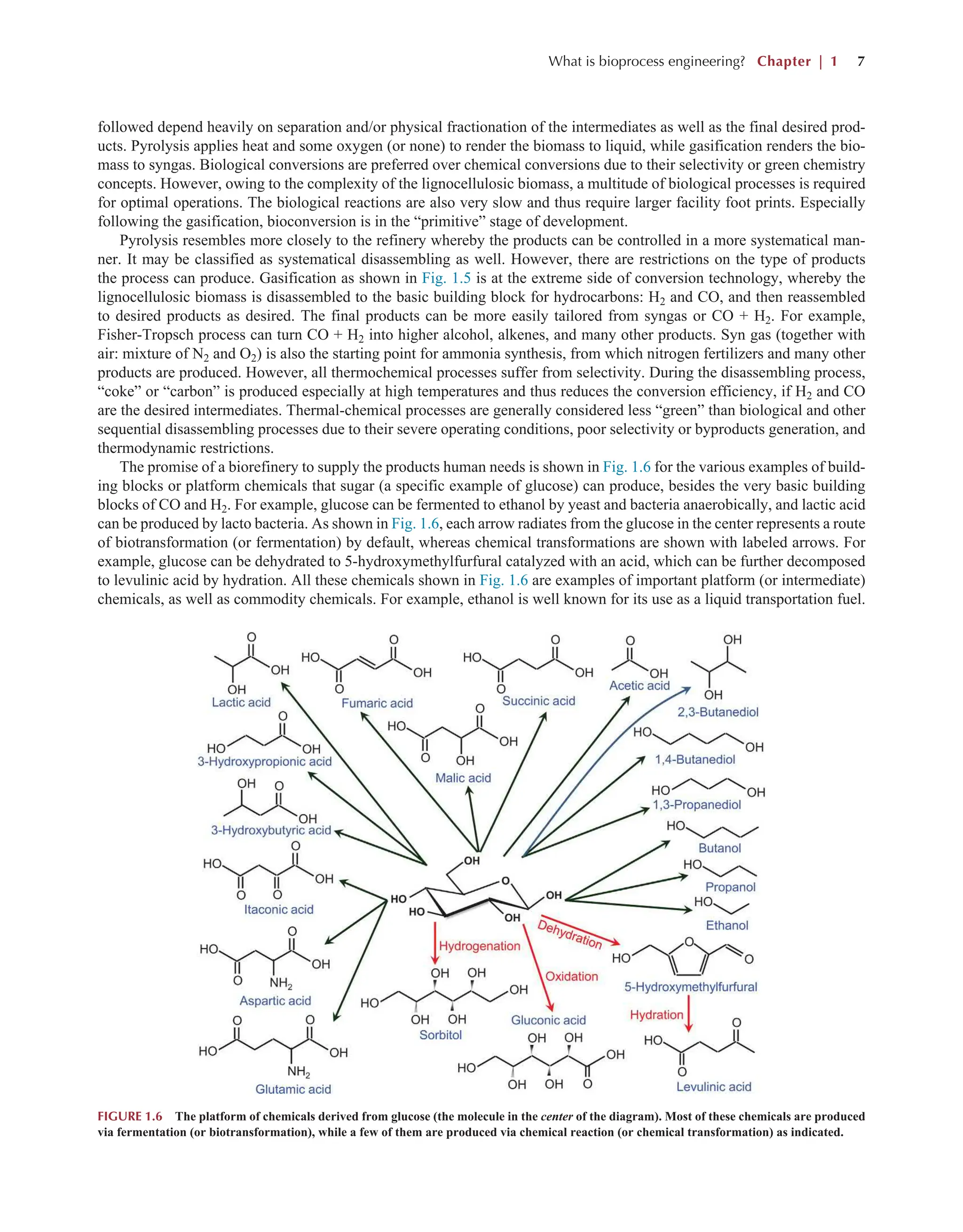 What is bioprocess engineering? Chapter | 1 7
followed depend heavily on separation and/or physical fractionation of the intermediates as well as the final desired prod-
ucts. Pyrolysis applies heat and some oxygen (or none) to render the biomass to liquid, while gasification renders the bio-
mass to syngas. Biological conversions are preferred over chemical conversions due to their selectivity or green chemistry
concepts. However, owing to the complexity of the lignocellulosic biomass, a multitude of biological processes is required
for optimal operations. The biological reactions are also very slow and thus require larger facility foot prints. Especially
following the gasification, bioconversion is in the “primitive” stage of development.
Pyrolysis resembles more closely to the refinery whereby the products can be controlled in a more systematical man-
ner. It may be classified as systematical disassembling as well. However, there are restrictions on the type of products
the process can produce. Gasification as shown in Fig. 1.5 is at the extreme side of conversion technology, whereby the
lignocellulosic biomass is disassembled to the basic building block for hydrocarbons: H2 and CO, and then reassembled
to desired products as desired. The final products can be more easily tailored from syngas or CO + H2. For example,
Fisher-Tropsch process can turn CO + H2 into higher alcohol, alkenes, and many other products. Syn gas (together with
air: mixture of N2 and O2) is also the starting point for ammonia synthesis, from which nitrogen fertilizers and many other
products are produced. However, all thermochemical processes suffer from selectivity. During the disassembling process,
“coke” or “carbon” is produced especially at high temperatures and thus reduces the conversion efficiency, if H2 and CO
are the desired intermediates. Thermal-chemical processes are generally considered less “green” than biological and other
sequential disassembling processes due to their severe operating conditions, poor selectivity or byproducts generation, and
thermodynamic restrictions.
The promise of a biorefinery to supply the products human needs is shown in Fig. 1.6 for the various examples of build-
ing blocks or platform chemicals that sugar (a specific example of glucose) can produce, besides the very basic building
blocks of CO and H2. For example, glucose can be fermented to ethanol by yeast and bacteria anaerobically, and lactic acid
can be produced by lacto bacteria. As shown in Fig. 1.6, each arrow radiates from the glucose in the center represents a route
of biotransformation (or fermentation) by default, whereas chemical transformations are shown with labeled arrows. For
example, glucose can be dehydrated to 5-hydroxymethylfurfural catalyzed with an acid, which can be further decomposed
to levulinic acid by hydration. All these chemicals shown in Fig. 1.6 are examples of important platform (or intermediate)
chemicals, as well as commodity chemicals. For example, ethanol is well known for its use as a liquid transportation fuel.
FIGURE 1.6 The platform of chemicals derived from glucose (the molecule in the center of the diagram). Most of these chemicals are produced
via fermentation (or biotransformation), while a few of them are produced via chemical reaction (or chemical transformation) as indicated.
 