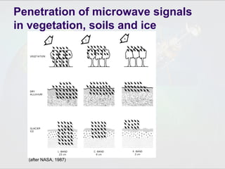 (after NASA, 1987)
Penetration of microwave signals
in vegetation, soils and ice
 