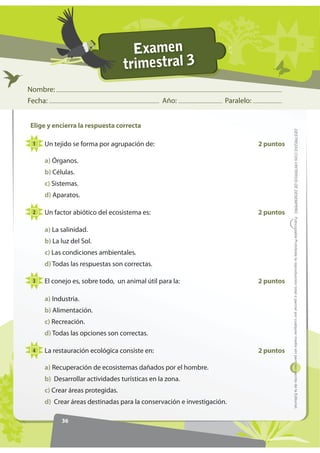 Examen
                                  trimestral 3
Nombre:
Fecha:                                         Año:         ...