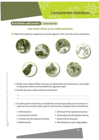 RPSRQHQWHV 'LGiFWLFRV


                                                                                                  ...