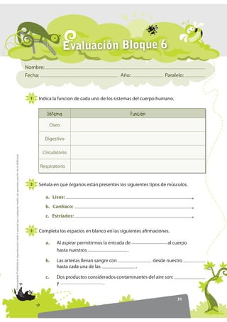 Evaluación Bloque 6
                                                                                                                  Nombre:
                                                                                                                  Fecha:                                            Año:              Paralelo:



                                                                                                                    1   Indica la funcion de cada uno de los sistemas del cuerpo humano.


                                                                                                                             6LVWHPD                                   )XQFLyQ

                                                                                                                                 Oseo

                                                                                                                            Digestivo

                                                                                                                         Circulatorio
)RWRFRSLDEOH Prohibida la reproducción total o parcial por cualquier medio sin permiso escrito de la Editorial.




                                                                                                                        Respiratorio


                                                                                                                    2   Señala en qué órganos están presentes los siguientes tipos de músculos.

                                                                                                                            a. Lisos:
                                                                                                                            b. Cardíaco:
                                                                                                                            c. Estriados:

                                                                                                                    3   Completa los espacios en blanco en las siguientes afirmaciones.

                                                                                                                            a.     Al aspirar permitirmos la entrada de                al cuerpo
                                                                                                                                   hasta nuestros                     .

                                                                                                                            b.     Las arterias llevan sangre con                desde nuestro
                                                                                                                                   hasta cada una de las                   .

                                                                                                                            c.     Dos productos considerados contaminantes del aire son:
                                                                                                                                   y                    .


                                                                                                                                                                                            31
 