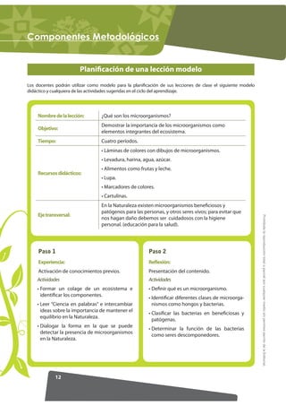 RPSRQHQWHV 0HWRGROyJLFRV


                         Planificación de una lección modelo
Los docentes podrán utilizar como modelo para la planificación de sus lecciones de clase el siguiente modelo
didáctico y cualquiera de las actividades sugeridas en el ciclo del aprendizaje.




     Nombre de la lección:         ¿Qué son los microorganismos?
                                   Demostrar la importancia de los microorganismos como
     Objetivo:
                                   elementos integrantes del ecosistema.
     Tiempo:                       Cuatro períodos.
                                   • Láminas de colores con dibujos de microorganismos.
                                   • Levadura, harina, agua, azúcar.
                                   • Alimentos como frutas y leche.
     Recursos didácticos:
                                   • Lupa.
                                   • Marcadores de colores.
                                   • Cartulinas.
                                   En la Naturaleza existen microorganismos beneficiosos y
                                   patógenos para las personas, y otros seres vivos; para evitar que
     Eje transversal:




                                                                                                               Prohibida la reproducción total o parcial por cualquier medio sin permiso escrito de la Editorial.
                                   nos hagan daño debemos ser cuidadosos con la higiene
                                   personal. (educación para la salud).




     Paso 1                                              Paso 2
     Experiencia:                                        Reﬂexión:
     Activación de conocimientos previos.                Presentación del contenido.
    Actividades                                          Actividades
    • Formar un colage de un ecosistema e                • Definir qué es un microorganismo.
      identificar los componentes.
                                                         • Identificar diferentes clases de microorga-
    • Leer “Ciencia en palabras” e intercambiar            nismos como hongos y bacterias.
      ideas sobre la importancia de mantener el
                                                         • Clasificar las bacterias en beneficiosas y
      equilibrio en la Naturaleza.
                                                           patógenas.
    • Dialogar la forma en la que se puede
                                                         • Determinar la función de las bacterias
      detectar la presencia de microorganismos
                                                           como seres descomponedores.
      en la Naturaleza.




             12
 