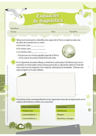 Evaluación
                                                                                                                                             de diagnóstico
                                                                                                                  Nombre:
                                                                                                                  Fecha:                                          Año:                   Paralelo:


                                                                                                                    1   Observa la ilustración e identifica las capas de la Tierra y registra cada una
                                                                                                                        de ellas de acuerdo con su color:
                                                                                                                        a) El manto: color ______________
                                                                                                                        b) El núcleo: color_______________
                                                                                                                        c) La corteza: color________________
                                                                                                                          Encierra en un círculo aquella capa de la Tierra
                                                                                                                          en la cual se encuentra toda forma de vida.

                                                                                                                    2   En el siguiente recuadro dibuja y señala los cuatro pisos climáticos que se en-
                                                                                                                        cuentran en el Ecuador como consecuencia de su ubicación sobre el nivel del
)RWRFRSLDEOH Prohibida la reproducción total o parcial por cualquier medio sin permiso escrito de la Editorial.




                                                                                                                        mar, estos son las regiones: fría, tropical, subtropical y templada. Colorea con
                                                                                                                        rojo la región en la que habitas.




                                                                                                                    3   Encuentra el par correspondiente en las siguientes listas de componentes en la
                                                                                                                        cadena alimenticia y únelos con una línea:

                                                                                                                               Descomponedores                           Carnívoros
                                                                                                                               Productores                               Herbívoros
                                                                                                                               Consumidores 1                            Plantas
                                                                                                                               Consumidores 2                            Bacterias y hongos


                                                                                                                                                                                               25
 