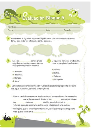 Evaluación Bloque 5
Nombre:
Fecha:                                        Año:                   Paralelo:


1   Comenta en el siguiente organizador gráfico tres precauciones que debemos
    tomar para evitar ser infectados por las bacterias.




2    Las / los____________ son un grupo          3   El siguiente elemento ayuda a alma-




                                                                                           )RWRFRSLDEOH Prohibida la reproducción total o parcial por cualquier medio sin permiso escrito de la Editorial.
     muy diverso de microorganismos que              cenar la energía en los alimentos:
     en su gran mayoría nos beneficia.
                                                     a) Fósforo.
     a) Animales.
                                                     b) Calcio.
     b) Bacterias.
                                                     c) Oxígeno.
     c) Hongos.
                                                     d) Nitrógeno.
     d) Virus.

4   Completa la siguiente información y utiliza el vocabulario propuesto: Inorgáni-
    cos, agua, nutrientes, carbono, fósforo y tierra.


      Para su crecimiento y normal funcionamiento, los organismos vivos necesitan
      __________, que se forman a partir de elementos __________ como agua, nitróge-
      no, _________, oxígeno, _________ y calcio, que obtienen de la _________
      y, luego, pasan de un ser vivo a otro, como eslabones de una cadena.
      El oxígeno, que es un componente del aire, es un gas indispensable para la
      vida, que se utiliza en la ____________.



           30
 