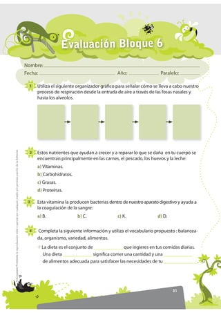 Evaluación Bloque 6
                                                                                                                  Nombre:
                                                                                                                  Fecha:                                        Año:                  Paralelo:

                                                                                                                    1   Utiliza el siguiente organizador gráfico para señalar cómo se lleva a cabo nuestro
                                                                                                                        proceso de respiración desde la entrada de aire a través de las fosas nasales y
                                                                                                                        hasta los alveolos.
)RWRFRSLDEOH Prohibida la reproducción total o parcial por cualquier medio sin permiso escrito de la Editorial.




                                                                                                                    2   Estos nutrientes que ayudan a crecer y a reparar lo que se daña en tu cuerpo se
                                                                                                                        encuentran principalmente en las carnes, el pescado, los huevos y la leche:
                                                                                                                        a) Vitaminas.
                                                                                                                        b) Carbohidratos.
                                                                                                                        c) Grasas.
                                                                                                                        d) Proteínas.

                                                                                                                   3    Esta vitamina la producen bacterias dentro de nuestro aparato digestivo y ayuda a
                                                                                                                        la coagulación de la sangre:
                                                                                                                        a) B.               b) C.               c) K.                d) D.


                                                                                                                    4   Completa la siguiente información y utiliza el vocabulario propuesto : balancea-
                                                                                                                        da, organismo, variedad, alimentos.
                                                                                                                          La dieta es el conjunto de ____________ que ingieres en tus comidas diarias.
                                                                                                                          Una dieta ____________ significa comer una cantidad y una ____________
                                                                                                                          de alimentos adecuada para satisfacer las necesidades de tu ______________.




                                                                                                                                                                                             31
 