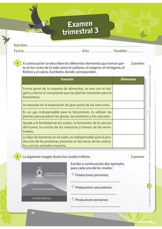 Examen
                                        trimestral 3
Nombre:
Fecha:                                                Año:                   Paralelo:


 1   A continuación se describen los diferentes elementos que toman par-                 2 puntos




                                                                                                    '(675(=$6 21 5,7(5,26 '( '(6(03(f2 )RWRFRSLDEOH Prohibida la reproducción total o parcial por cualquier medio sin permiso escrito de la Editorial.
     te en los ciclos de la vida como el carbono, el oxígeno, el nitrógeno, el
     fósforo y el calcio. Escríbelos donde corresponden.

                                       Función                                   Elemento

     Forma parte de la mayoría de alimentos, se une con el oxí-
     geno y forma el compuesto que las plantas necesitan para la
     fotosíntesis.

     Se necesita en la respiración de gran parte de los sere vivos.

     Es un gas indispensable para la fotosíntesis, lo utilizan las
     plantas para producir las grasas, las proteínas y los azúcares.
     Ayuda a la fertilidad de los suelos, la formación de la cáscara
     del huevo, la concha de los moluscos y huesos de los verte-
     brados.
     Lo fijan las bacterias en el suelo, es indispensable para la pro-
     ducción de las proteínas, presente en las heces de los anima-
     les y en los animales muertos.


 2   La siguiente imagen ilustra los niveles tróficos.                                   2 puntos

                                               Escribe a continuación dos ejemplos
                SOL                            para cada uno de los niveles:
                         CARNÍVOROS GRANDES
                         CARNÍVOROS PEQUEÑOS      Productores primarios:

            HERBÍVOROS
                                               ____________________________

            PRODUCTORES PRIMARIOS
                                                  Productores secundarios:
                                               __________________________
            FACTORES ABIÓTICOS
                                                  Productores terciarios:
                                               ____________________________

           36
 