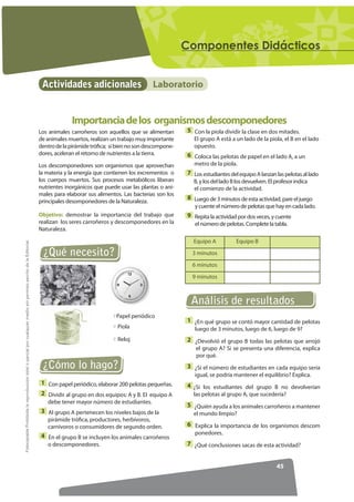 RPSRQHQWHV 'LGiFWLFRV


                                                                                                                   Actividades adicionales                        Laboratorio


                                                                                                                               Importancia de los organismos descomponedores
                                                                                                                  Los animales carroñeros son aquellos que se alimentan        5 Con la piola dividir la clase en dos mitades.
                                                                                                                  de animales muertos, realizan un trabajo muy importante        El grupo A está a un lado de la piola, el B en el lado
                                                                                                                  dentro de la pirámide trófica; si bien no son descompone-      opuesto.
                                                                                                                  dores, aceleran el retorno de nutrientes a la tierra.        6 Coloca las pelotas de papel en el lado A, a un
                                                                                                                  Los descomponedores son organismos que aprovechan              metro de la piola.
                                                                                                                  la materia y la energía que contienen los excrementos o      7 Los estudiantes del equipo A lanzan las pelotas al lado
                                                                                                                  los cuerpos muertos. Sus procesos metabólicos liberan          B, y los del lado B los devuelven. El profesor indica
                                                                                                                  nutrientes inorgánicos que puede usar las plantas o ani-       el comienzo de la actividad.
                                                                                                                  males para elaborar sus alimentos. Las bacterias son los
                                                                                                                                                                               8 Luego de 3 minutos de esta actividad, pare el juego
                                                                                                                  principales desomponedores de la Naturaleza.
                                                                                                                                                                                  y cuente el número de pelotas que hay en cada lado.
                                                                                                                  Objetivo: demostrar la importancia del trabajo que           9 Repita la actividad por dos veces, y cuente
                                                                                                                  realizan los seres carroñeros y descomponedores en la           el número de pelotas. Complete la tabla.
                                                                                                                  Naturaleza.

                                                                                                                                                                                 Equipo A           Equipo B
)RWRFRSLDEOH Prohibida la reproducción total o parcial por cualquier medio sin permiso escrito de la Editorial.




                                                                                                                   ¿Qué necesito?                                                3 minutos
                                                                                                                                                                                 6 minutos
                                                                                                                                                                                 9 minutos



                                                                                                                                                                                Análisis de resultados
                                                                                                                                                  Papel periódico
                                                                                                                                                                              1 ¿En qué grupo se contó mayor cantidad de pelotas
                                                                                                                                                   Piola                          luego de 3 minutos, luego de 6, luego de 9?
                                                                                                                                                   Reloj                      2 ¿Devolvió el grupo B todas las pelotas que arrojó
                                                                                                                                                                                  el grupo A? Si se presenta una diferencia, explica
                                                                                                                                                                                  por qué.
                                                                                                                   ¿Cómo lo hago?                                             3 ¿Si el número de estudiantes en cada equipo sería
                                                                                                                                                                                  igual, se podría mantener el equilibrio? Explica.
                                                                                                                   1 Con papel periódico, elaborar 200 pelotas pequeñas.      4 ¿Si los estudiantes del grupo B no devolverían
                                                                                                                   2 Dividir al grupo en dos equipos: A y B. El equipo A         las pelotas al grupo A, que sucedería?
                                                                                                                     debe tener mayor número de estudiantes.
                                                                                                                                                                              5 ¿Quién ayuda a los animales carroñeros a mantener
                                                                                                                   3 Al grupo A pertenecen los niveles bajos de la               el mundo limpio?
                                                                                                                     pirámide trófica, productores, herbívoros,
                                                                                                                     carnívoros o consumidores de segundo orden.              6 Explica la importancia de los organismos descom
                                                                                                                                                                                  ponedores.
                                                                                                                   4 En el grupo B se incluyen los animales carroñeros
                                                                                                                     o descomponedores.                                       7 ¿Qué conclusiones sacas de esta actividad?


                                                                                                                                                                                                                       45
 
