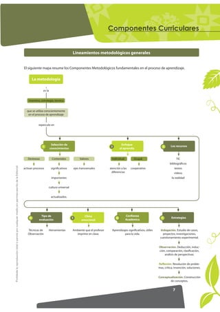 RPSRQHQWHV XUULFXODUHV


                                                                                                                                                Lineamientos metodológicos generales


                                                                                                     El siguiente mapa resume los Componentes Metodológicos fundamentales en el proceso de aprendizaje.


                                                                                                             La metodología

                                                                                                                    es la


                                                                                                        inventiva, estrategia, técnica


                                                                                                       que se utiliza conscientemente
                                                                                                        en el proceso de aprendizaje


                                                                                                                repercute en




                                                                                                                             Selección de                                            Enfoque                                 Los recursos
                                                                                                                    1                                                       2                                         3
                                                                                                                            conocimientos                                           al aprendiz


                                                                                                        Destrezas             Contenidos                 Valores            Individual         Grupal                              TIC
                                                                                                                                                                                                                            bibliográficos
Prohibida la reproducción total o parcial por cualquier medio sin permiso escrito de la Editorial.




                                                                                                     activan procesos        significativos         ejes transversales     atención a las    cooperativo                        textos
                                                                                                                                                                            diferencias                                         videos
                                                                                                                              importantes                                                                                     la realidad


                                                                                                                            cultura universal


                                                                                                                             actualizados.




                                                                                                                  Tipo de                                   Clima                        Confianza
                                                                                                         4                                      5                               6                                    7        Estrategias
                                                                                                                 evaluación                               emocional                      Académica


                                                                                                        Técnicas de         Herramientas        Ambiente que el profesor     Aprendizajes significativos, útiles    Indagación. Estudio de casos,
                                                                                                        Observación                               imprime en clase.                   para la vida.                   proyectos, investigaciones,
                                                                                                                                                                                                                    cuestionamiento experimental.


                                                                                                                                                                                                                   Observación. Deducción, induc-
                                                                                                                                                                                                                   ción, comparación, clasificación,
                                                                                                                                                                                                                       análisis de perspectivas.


                                                                                                                                                                                                                   Reflexión. Resolución de proble-
                                                                                                                                                                                                                   mas, crítica, invención, soluciones.


                                                                                                                                                                                                                   Conceptualización. Construcción
                                                                                                                                                                                                                           de conceptos.


                                                                                                                                                                                                                               7
 