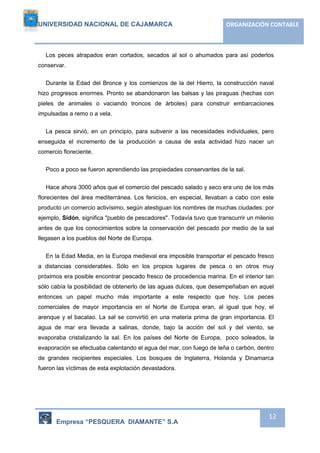UNIVERSIDAD NACIONAL DE CAJAMARCA ORGANIZACIÓN CONTABLE 
Los peces atrapados eran cortados, secados al sol o ahumados para así poderlos 
Empresa “PESQUERA DIAMANTE” S.A 
12 
conservar. 
Durante la Edad del Bronce y los comienzos de la del Hierro, la construcción naval 
hizo progresos enormes. Pronto se abandonaron las balsas y las piraguas (hechas con 
pieles de animales o vaciando troncos de árboles) para construir embarcaciones 
impulsadas a remo o a vela. 
La pesca sirvió, en un principio, para subvenir a las necesidades individuales, pero 
enseguida el incremento de la producción a causa de esta actividad hizo nacer un 
comercio floreciente. 
Poco a poco se fueron aprendiendo las propiedades conservantes de la sal. 
Hace ahora 3000 años que el comercio del pescado salado y seco era uno de los más 
florecientes del área mediterránea. Los fenicios, en especial, llevaban a cabo con este 
producto un comercio activísimo, según atestiguan los nombres de muchas ciudades: por 
ejemplo, Sidón, significa "pueblo de pescadores". Todavía tuvo que transcurrir un milenio 
antes de que los conocimientos sobre la conservación del pescado por medio de la sal 
llegasen a los pueblos del Norte de Europa. 
En la Edad Media, en la Europa medieval era imposible transportar el pescado fresco 
a distancias considerables. Sólo en los propios lugares de pesca o en otros muy 
próximos era posible encontrar pescado fresco de procedencia marina. En el interior tan 
sólo cabía la posibilidad de obtenerlo de las aguas dulces, que desempeñaban en aquel 
entonces un papel mucho más importante a este respecto que hoy. Los peces 
comerciales de mayor importancia en el Norte de Europa eran, al igual que hoy, el 
arenque y el bacalao. La sal se convirtió en una materia prima de gran importancia. El 
agua de mar era llevada a salinas, donde, bajo la acción del sol y del viento, se 
evaporaba cristalizando la sal. En los países del Norte de Europa, poco soleados, la 
evaporación se efectuaba calentando el agua del mar, con fuego de leña o carbón, dentro 
de grandes recipientes especiales. Los bosques de Inglaterra, Holanda y Dinamarca 
fueron las víctimas de esta explotación devastadora. 
 