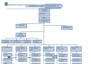 UNIVERSIDAD NACIONAL DE CAJAMARCA ORGANIZACIÓN CONTABLE 
SECRETARIA 
ORGANIGRAMA DE LA EMPRESA “PESQUERA DIAMANTE S. A” 
Empresa “PESQUERA DIAMANTE” S.A 
47 
JUNTA GENERAL DE 
ACCIONISTAS 
DEPARTAMENTO 
DE LOGÍSTICA 
DEPARTAMENTO 
DE CONTABILIDAD 
DEPARTAMENTO 
DE FINANZAS 
ÁREA DE 
CONTABILIDAD 
ASESORÍA LEGAL 
DIRECTORIO 
SUB- GERENCIA 
DEPARTAMENTO DE 
COSTOS Y PRESUPUESTOS 
AREA DE EXTRACCIÓN 
REDES 
MANTENIMIENTO 
PESCA 
AREA DE GESTIÓN DE 
RIESGOS Y SISTEMAS DE 
CALIDAD 
RIESGOS Y 
AUDITORIA 
INTERNA 
ASEGURA MIENTO 
DE CALIDAD 
AREA OPERACIONES DE 
HARINA DE PESCADO Y 
ACEITE 
DEPARTAMENTO 
DE PRODUCCIÓN 
DEPARTAMENTO DE 
MANTENIMIENTO 
AREA OPERACIONES DE 
CONSERVAS 
DEPARTAMENTO 
DE PRODUCCIÓN 
DEPARTAMENTO DE 
DEPARTAMENTO DE 
CONTROL DE CALIDAD 
AREA DE 
COMERCILIZACION 
DEPARTAMENTO 
DE COMPRAS 
AREA DE RECURSOS 
HUMANOS 
DEPARTAMENTO DE 
RECURSOS HUMANOS 
DEPARTAMENTO DE 
SERVICIOS GENERALES 
YY SALUD 
DEPARTAME NTO DE 
DEPARTAMENTO 
DE VENTAS 
DEPARTAMENTO 
GERENCIA 
 