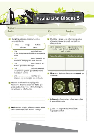Nombre:
Fecha: Año: Paralelo:
25
Evaluación Bloque 2
)RWRFRSLDEOHProhibidalareproduccióntotaloparcialporcualquiermediosinpermisoescritodelaEditorial.
Correlaciona por medio de líneas los componentes del suelo con la fase a la que
corresponde.
1
Ordena los siguientes componentes del suelo de acuerdo con su tamaño asignando el número
1 al más pequeño.
2
)DVH VyOLGD
)DVH OtTXLGD
)DVH JDVHRVD
Agua y materiales en disolución.
Formada por oxígeno, dióxido de carbono,
metano y otros.
Materiales minerales como cuarzo, arcilla
y materia orgánica.
LHQR $UHQD $UFLOOD
plantas
suelo
microorganismos
Escribe dos características de las zonas ecológicas del territorio Insular.3
Identifica cuáles son los elementos bióticos de un ecosistema y márcalos con una X.4
=RQD iULGD
=RQD K~PHGD GH WLHUUDV DOWDV
=RQD FRVWHUD
luz
animales
agua
 
