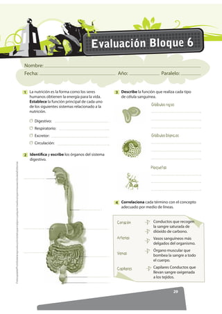 Nombre:
Fecha: Año: Paralelo:
26
)RWRFRSLDEOHProhibidalareproduccióntotaloparcialporcualquiermediosinpermisoescritodelaEditorial.
Evaluación Bloque 3
5HFXUVRV
UHQRYDEOHV
5HFXUVRV
QR UHQRYDEOHV
Observa la fotografía e indica un ejemplo de
población y uno de comunidad.
1
Cita dos ejemplos de recursos naturales
renovables y no renovables del Ecuador.
4
Completa el organizador con cuatro ideas
que describan a los combustibles fósiles.
5
3REODFLyQ
RPXQLGDG
Resume cuáles son las amenazas a la
biodiversidad en Galápagos.
3
Explica cómo se distribuye la vida en los
océanos haciendo referencia a la zona litoral,
oceánica y nerítica.
2
RPEXVWLEOHV
IyVLOHV
 