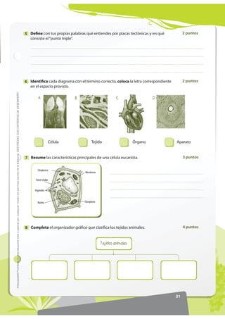 Nombre:
Fecha: Año: Paralelo:
28
)RWRFRSLDEOHProhibidalareproduccióntotaloparcialporcualquiermediosinpermisoescritodelaEditorial.
Evaluación Bloque 5
a) Indica cuál es la estructura celular que realiza
la respiración celular.
b) ¿Cuáles son los productos finales de la
respiración celular?
Completa cada espacio con el término
correspondiente.
1
El cobre es el material escogido para la
fabricación de cables eléctricos. Indica qué
propiedades físicas tiene este material para
ser utilizado en esta función.
2
Identifica y anota en la columna respectiva
si la sustancia es una mezcla homogénea
o heterogénea.
4
Explica en tus propias palabras que dice la Ley
de la conservación de la materia y energía.
3
Observa el siguiente diagrama y responde las
preguntas.
5
masa energía materia
volumen peso
a) El/la es todo lo que
ocupa un lugar en el espacio y tiene peso y
masa.
b) El/l a es la capacidad de
realizar un trabajo y está en el entorno.
c) El/la es la cantidad de
materia que tiene un cuerpo.
d) El/la es el resultado de
la fuerza que ejerce la gravedad sobre la
masa de un cuerpo.
e) El/la es el espacio
ocupado por un cuerpo o una sustancia.
leche – sopa de quinua – agua con colorante
vegetal – agua de mar – jugo de fruta –
café en agua
0H]FOD KRPRJpQHD 0H]FOD KHWHURJpQHD
O2
C6
H12
O6
Energía
CO2
H2
O
 