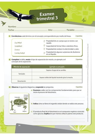 31
)RWRFRSLDEOHProhibidalareproduccióntotaloparcialporcualquiermediosinpermisoescritodelaEditorial.'(675(=$6215,7(5,26'('(6(03(f2
2 puntosDefine con tus propias palabras qué entiendes por placas tectónicas y en qué
consiste el“punto triple”.
5
2 puntosIdentifica cada diagrama con el término correcto, coloca la letra correspondiente
en el espacio provisto.
6
3 puntosResume las características principales de una célula eucariota.7
4 puntosCompleta el organizador gráfico que clasifica los tejidos animales.8
$ %  '
Pared celular
Núcleo
Membrana
Orgánulos
Cloroplasto
Citoplasma
7HMLGRV DQLPDOHV
Célula Tejido Órgano Aparato
 