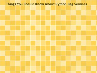 Things You Should Know About Python Bag Services
 