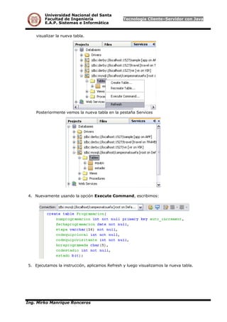 Universidad Nacional del Santa
Facultad de Ingeniería Tecnología Cliente–Servidor con Java
E.A.P. Sistemas e Informática
visualizar la nueva tabla.
Posteriormente vemos la nueva tabla en la pestaña Services
4. Nuevamente usando la opción Execute Command, escribimos:
5. Ejecutamos la instrucción, aplicamos Refresh y luego visualizamos la nueva tabla.
Ing. Mirko Manrique Ronceros
 