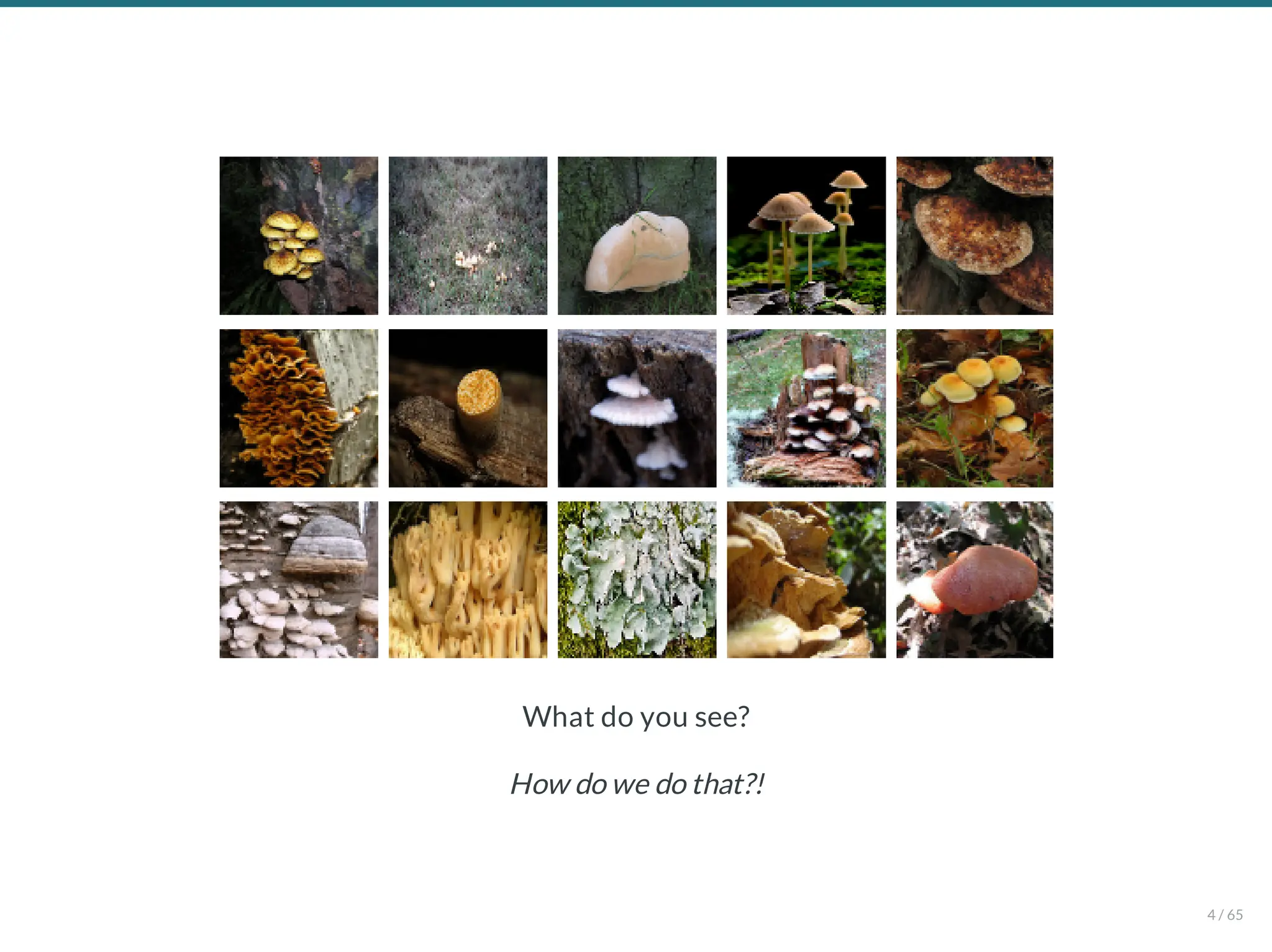 What do you see?
How do we do that?!
4 / 65
 