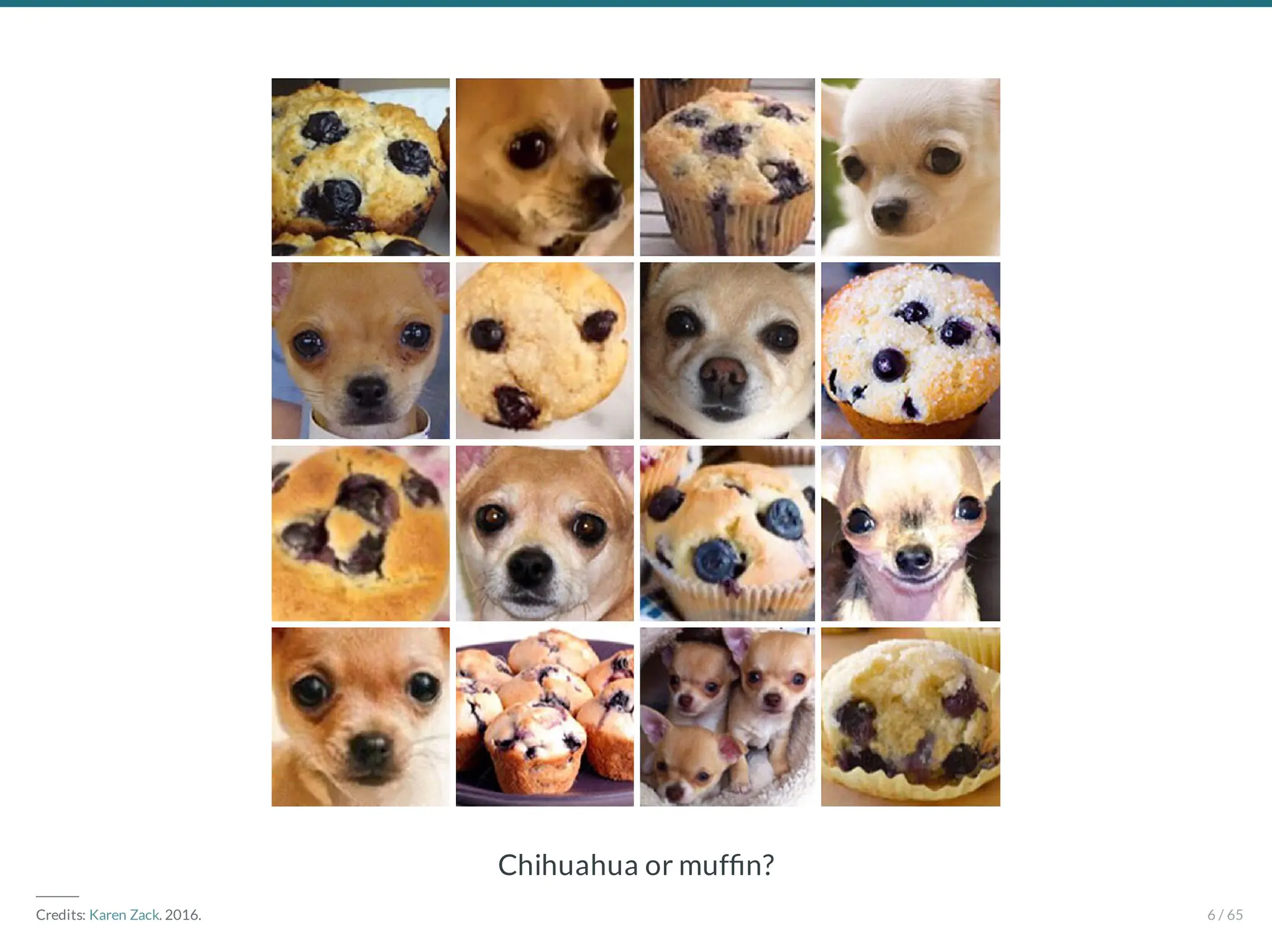 Chihuahua or muf n?
―――
Credits: Karen Zack. 2016. 6 / 65
 