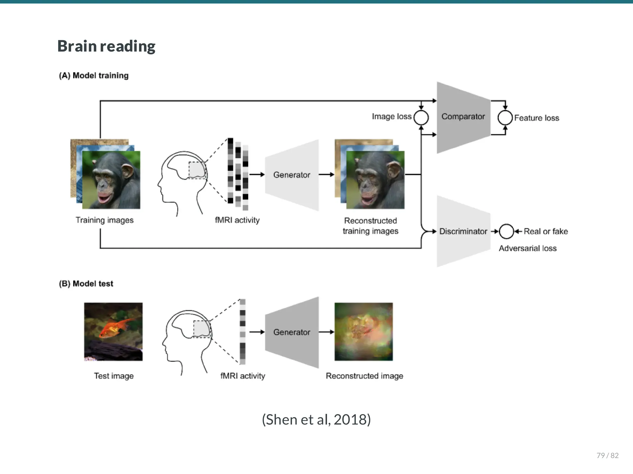 Brain reading
(Shen et al, 2018)
79 / 82
 