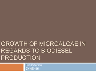 GROWTH OF MICROALGAE IN
REGARDS TO BIODIESEL
PRODUCTION
Ben Peterson
CHME 486
 