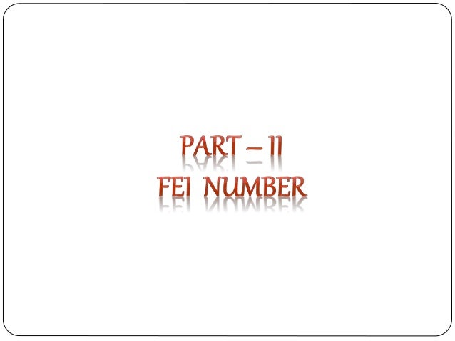 d u n s amp fei number fei number