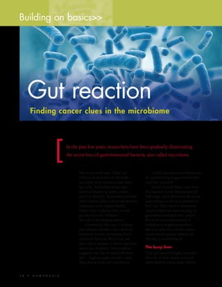 1 6  S Y N T H E S I S
In the past few years, researchers have been gradually illuminating
the secret lives of gastrointestinal bacteria, also called microbiota.
Gut reaction
Finding cancer clues in the microbiome
This is no small task. There are
trillions of microbes in the body —
ten times more bacteria than there
are cells. And while many may
perform beneficial tasks, others
aren’t so friendly. Researchers believe
these bacteria play a role in metabolism,
immunity, even mental health.
There’s also evidence that certain
gut bacteria can influence
the risk of developing cancer.
Conditions like type 2 diabetes
and obesity can skew this carefully
balanced system, increasing levels
of hostile bacteria. But it may not
even take a disease to throw bacterial
ratios out of whack. New evidence
suggests that the so-called Western
diet — high in sugar and fat — also
plays havoc with our microbiota.
Could these bacterial imbalances
be contributing to gastrointestinal
and liver cancers?
Yu-Jui Yvonne Wan, vice chair
for research in the Department of
Pathology and Laboratory Medicine,
and colleagues are on a mission to
find out. They want to determine
exactly what role bacteria play in
gastrointestinal and liver cancers.
But even more importantly, if
imbalances in gastrointestinal
bacteria raise the risk for cancer,
could restoring that balance be
the key to preventing it?
The busy liver
That gut bacteria might modulate
the risk of liver cancer is not as
farfetched as it may seem. While
Building on basics>>
 