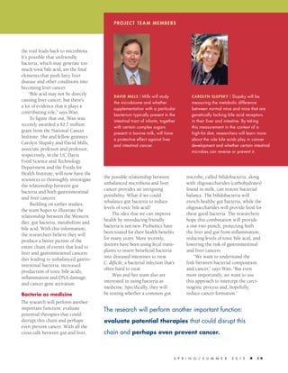 spr i n g / su m m e R 2 0 1 5  1 9
the possible relationship between
unbalanced microbiota and liver
cancer provides an intriguing
possibility. What if we could
rebalance gut bacteria to reduce
levels of toxic bile acid?
The idea that we can improve
health by introducing friendly
bacteria is not new. Probiotics have
been touted for their health benefits
for many years. More recently,
doctors have been using fecal trans-
plants to insert beneficial bacteria
into diseased intestines to treat
C. difficile, a bacterial infection that’s
often hard to treat.
Wan and her team also are
interested in using bacteria as
medicine. Specifically, they will
be testing whether a common gut
microbe, called bifidobacteria, along
with oligosaccharides (carbohydrates)
found in milk, can restore bacterial
balance. The bifidobacteria will
enrich healthy gut bacteria, while the
oligosaccharides will provide food for
these good bacteria. The researchers
hope this combination will provide
a one-two punch, protecting both
the liver and gut from inflammation,
reducing levels of toxic bile acid, and
lowering the risk of gastrointestinal
and liver cancers.
“We want to understand the
link between bacterial composition
and cancer,” says Wan.“But even
more importantly, we want to use
this approach to intercept the carci-
nogenic process and, hopefully,
reduce cancer formation.”
the trail leads back to microbiota.
It’s possible that unfriendly
bacteria, which may generate too
much toxic bile acid, are the final
elements that push fatty liver
disease and other conditions into
becoming liver cancer.
“Bile acid may not be directly
causing liver cancer, but there’s
a lot of evidence that it plays a
contributing role,” says Wan.
To figure that out, Wan was
recently awarded a $2.7 million
grant from the National Cancer
Institute. She and fellow grantees
Carolyn Slupsky and David Mills,
associate professor and professor,
respectively, in the UC Davis
Food Science and Technology
Department and the Foods for
Health Institute, will now have the
resources to thoroughly investigate
the relationship between gut
bacteria and both gastrointestinal
and liver cancers.
Building on earlier studies,
the team hopes to illustrate the
relationship between the Western
diet, gut bacteria, metabolism and
bile acid. With this information,
the researchers believe they will
produce a better picture of the
entire chain of events that lead to
liver and gastrointestinal cancers:
diet leading to unbalanced gastro-
intestinal bacteria; increased
production of toxic bile acids;
inflammation and DNA damage;
and cancer gene activation.
Bacteria as medicine
The research will perform another
important function: evaluate
potential therapies that could
disrupt this chain and perhaps
even prevent cancer. With all the
cross-talk between gut and liver,
The research will perform another important function:
evaluate potential therapies that could disrupt this
chain and perhaps even prevent cancer.
Carolyn Slupsky | Slupsky will be
measuring the metabolic difference
between normal mice and mice that are
genetically lacking bile acid receptors
in their liver and intestine. By taking
this measurement in the context of a
high-fat diet, researchers will learn more
about the role bile acids play in cancer
development and whether certain intestinal
microbes can reverse or prevent it.
David Mills | Mills will study
the microbiome and whether
supplementation with a particular
bacterium typically present in the
intestinal tract of infants, together
with certain complex sugars
present in bovine milk, will have
a protective effect against liver
and intestinal cancer.
Project team members
 
