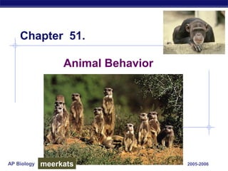 AP Biology 2005-2006
Animal Behavior
Chapter 51.
meerkats
 