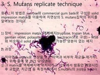3. S. Mutans replicate technique
원리 : 이 방법은 sucrose와 commercial gum base로 구성된 solid
impression matrix를 이용하여 치면상의 S. mutans집락의 위치를
알아보는 것이다.
1) 장비 : impression matrix, 액체배지(tryptose, trypan blue,
gentian violet, potassium tellurite, bacitracin으로 구성) – MSB
와 비슷하나 solid matrix내에 발효가능한 양분이 없는 배지
2) 과정
①치아면을 matrix로 인상을 뜨고 타액과 비부착 세균을 제거하
기 위해 물에 몇 초간 닦아낸다.
②그 matrix를 액체배지에 위치시키고 37도에서 밤동안 배양시킨
후 교합면, 치근면 등 특정부위에서 S.mutans의 과성장을 관찰한다.
 