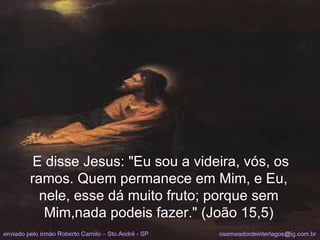 E disse Jesus: "Eu sou a videira, vós, os ramos. Quem permanece em Mim, e Eu, nele, esse dá muito fruto; porque sem Mim,nada podeis fazer." (João 15,5) 