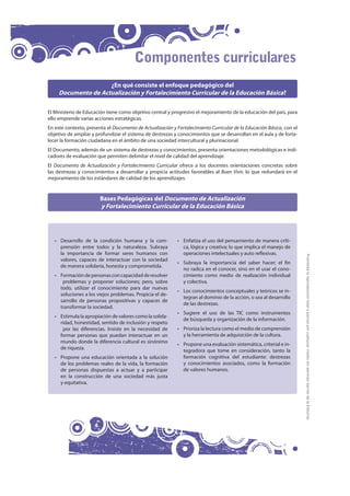 Componentes curriculares
                     ¿En qué consiste el enfoque pedagógico del
     Documento de Actualización y Fortalecimiento Curricular de la Educación Básica?

El Ministerio de Educación tiene como objetivo central y progresivo el mejoramiento de la educación del país, para
ello emprende varias acciones estratégicas.
En este contexto, presenta el Documento de Actualización y Fortalecimiento Curricular de la Educación Básica, con el
objetivo de ampliar y profundizar el sistema de destrezas y conocimientos que se desarrollan en el aula y de forta-
lecer la formación ciudadana en el ámbito de una sociedad intercultural y plurinacional.
El Documento, además de un sistema de destrezas y conocimientos, presenta orientaciones metodológicas e indi-
cadores de evaluación que permiten delimitar el nivel de calidad del aprendizaje.
El Documento de Actualización y Fortalecimiento Curricular ofrece a los docentes orientaciones concretas sobre
las destrezas y conocimientos a desarrollar y propicia actitudes favorables al Buen Vivir, lo que redundará en el
mejoramiento de los estándares de calidad de los aprendizajes.


                         Bases Pedagógicas del Documento de Actualización
                         y Fortalecimiento Curricular de la Educación Básica




   • Desarrollo de la condición humana y la com-            • Enfatiza el uso del pensamiento de manera críti-
     prensión entre todos y la naturaleza. Subraya            ca, lógica y creativa; lo que implica el manejo de
     la importancia de formar seres humanos con               operaciones intelectuales y auto reflexivas.




                                                                                                                       Prohibida la reproducción total o parcial por cualquier medio sin permiso escrito de la Editorial.
     valores, capaces de interactuar con la sociedad
                                                            • Subraya la importancia del saber hacer; el fin
     de manera solidaria, honesta y comprometida.
                                                              no radica en el conocer, sino en el usar el cono-
   • Formación de personas con capacidad de resolver          cimiento como medio de realización individual
      problemas y proponer soluciones; pero, sobre            y colectiva.
     todo, utilizar el conocimiento para dar nuevas
                                                            • Los conocimientos conceptuales y teóricos se in-
     soluciones a los viejos problemas. Propicia el de-
                                                              tegran al dominio de la acción, o sea al desarrollo
     sarrollo de personas propositivas y capaces de
                                                              de las destrezas.
     transformar la sociedad.
                                                            • Sugiere el uso de las TIC como instrumentos
   • Estimula la apropiación de valores como la solida-
                                                              de búsqueda y organización de la información.
     ridad, honestidad, sentido de inclusión y respeto
      por las diferencias. Insiste en la necesidad de       • Prioriza la lectura como el medio de comprensión
     formar personas que puedan interactuar en un             y la herramienta de adquisición de la cultura.
     mundo donde la diferencia cultural es sinónimo
                                                            • Propone una evaluación sistemática, criterial e in-
     de riqueza.
                                                              tegradora que tome en consideración, tanto la
   • Propone una educación orientada a la solución            formación cognitiva del estudiante: destrezas
     de los problemas reales de la vida, la formación         y conocimientos asociados, como la formación
     de personas dispuestas a actuar y a participar           de valores humanos.
     en la construcción de una sociedad más justa
     y equitativa.




                     4
 