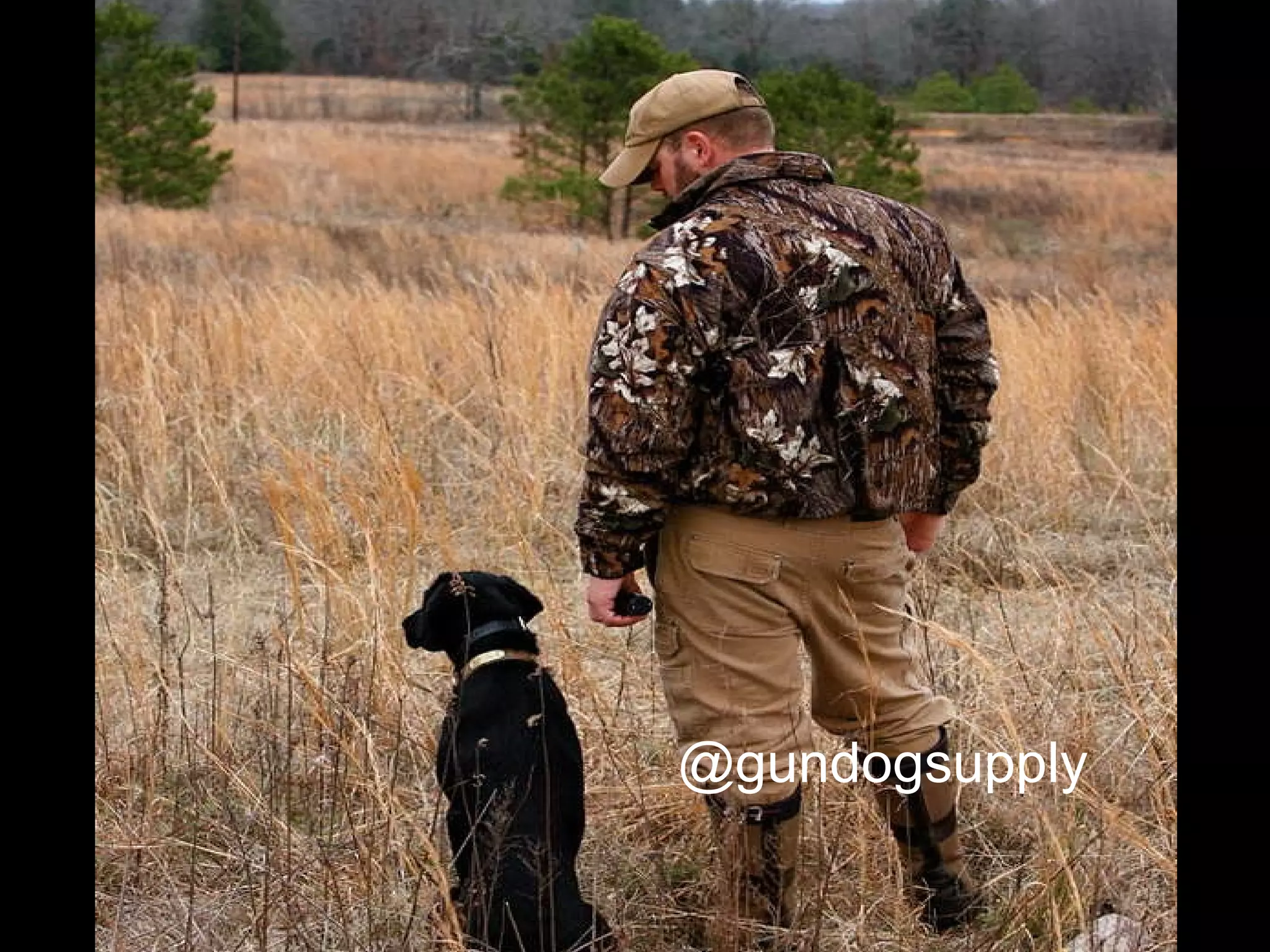 @gundogsupply 