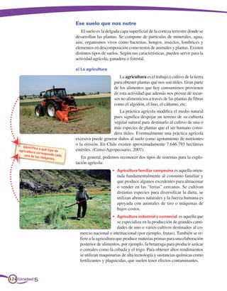 Ese suelo que nos nutre
                                       El suelo es la delgada capa superficial de la corteza terrestre donde se
                                    desarrollan las plantas. Se compone de partículas de minerales, agua,
                                    aire, organismos vivos como bacterias, hongos, insectos, lombrices y
                                    elementos en descomposición como restos de animales y plantas. Existen
                                    distintos tipos de suelos. Según sus características, pueden servir para la
                                    actividad agrícola, ganadera o forestal.

                                    a) La agricultura
                                                             La agricultura es el trabajo o cultivo de la tierra
                                                          para obtener plantas que nos son útiles. Gran parte
                                                          de los alimentos que hoy consumimos provienen
                                                          de esta actividad que además nos provee de recur-
                                                          sos no alimenticios a través de las plantas de fibras
                                                          como el algodón, el lino, el cáñamo, etc.
                                                             La práctica agrícola modifica el medio natural
                                                          pues significa despojar un terreno de su cubierta
                                                          vegetal natural para destinarlo al cultivo de una o
                                                          más especies de plantas que el ser humano consi-
                                                          dera útiles. Eventualmente una práctica agrícola
                                    excesiva puede generar daños al suelo como agotamiento de nutrientes
                                    o la erosión. En Chile existen aproximadamente 7.646.793 hectáreas
       Identifica
                  a qué tipo        estériles. (Censo Agropecuario, 2007).
    agricultura              de
                correspon
        una de las        de cada
                   imágenes.           En general, podemos reconocer dos tipos de sistemas para la explo-
                                    tación agrícola:
                                                         •	 Agricultura familiar campesina es aquella orien-
                                                            tada fundamentalmente al consumo familiar y
                                                            que produce algunos excedentes para almacenar
                                                            o vender en las “ferias” cercanas. Se cultivan
                                                            distintas especies para diversificar la dieta, se
                                                            utilizan abonos naturales y la fuerza humana es
                                                            apoyada con animales de tiro o máquinas de
                                                            bajos costos.
                                                         •	 Agricultura industrial y comercial: es aquella que
                                                              se especializa en la producción de grandes canti-
                                                              dades de uno o varios cultivos destinados al co-
                                      mercio nacional o internacional (por ejemplo, frutas). También se re-
                                      fiere a la agricultura que produce materias primas para una elaboración
                                      posterior de alimentos, por ejemplo, la betarraga para producir azúcar
                                      o cereales como la cebada y el trigo. Para obtener altos rendimientos
                                      se utilizan maquinarias de alta tecnología y sustancias químicas como
                                      fertilizantes y plaguicidas, que suelen tener efectos contaminantes.



124 Unidad 5
 