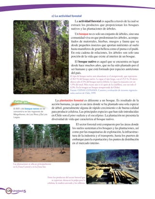 c) La actividad forestal
                                                                       La actividad forestal es aquella a través de la cual se
                                                                    extraen los productos que proporcionan los bosques
                                                                    nativos y las plantaciones de árboles.
                                                                       Un bosque no es solo un conjunto de árboles, sino una
                                                                    comunidad viva en que predominan los árboles, acompa-
                                                                    ñados de matorrales, hierbas, musgos y fauna que va
                                                                    desde pequeños insectos que aportan nutrientes al suelo
                                                                    hasta mamíferos de gran belleza como el puma o el pudú.
                                                                    En esta cadena de relaciones, los árboles son solo una
                                                                    porción de la vida que existe al interior de un bosque.
                                                                       El bosque nativo es aquel que se encuentra en lugar
                                                                    desde hace muchos años, que no ha sido plantado por el
                                                                    ser humano y que está formado por especies autóctonas
                                                                    del país.
                                                                   El tipo de bosque nativo más abundante es el siempreverde, que representa
                                                                   el 30,9 % del bosque nativo. Le sigue el tipo lenga, con el 25,3 %. El alerce
                                                                   abarca solo el 2% del bosque nativo chileno. Le sigue la araucaria con un
                                                                   1,9% del total. Más escaso aún es el ciprés de la cordillera, con tan solo el
                                                                   0,3%. En la imagen un bosque siempreverde de Chiloé.
                                                                   Fuente: CONAF-CONAMA. Catastro y evaluación de recursos vegetacio-
                                                                   nales nativos de Chile, 1999.


                                                   La plantación forestal es diferente a un bosque. Es resultado de la
    ¿Sabías que…
                                                acción humana, ya que es un área donde se ha plantado una sola especie
    El 60% del bosque nativo se se              de árbol, generalmente alguna de rápido crecimiento o de buena calidad
    concentra en las regiones de                para producir celulosa. Las principales especies que han sido introducidas
    Magallanes, de Los Ríos y De Los
                                                en Chile son el pino radiata y el eucaliptus. La plantación no presenta la
    Lagos.
                                                diversidad de vida que caracteriza al bosque nativo.
                                                                         El sector forestal está compuesto por las áreas donde
                                                                      los suelos sustentan a los bosques y las plantaciones, así
                                                                      como por las maquinarias de explotación, la infraestruc-
                                                                      tura de la industria y el transporte, hasta los puertos de
                                                                      embarque para la exportación y los puntos de distribución
                                                                      en el mercado interno.




    Las plantaciones se ubican principalmente
    en la Zona Central y en la Zona Sur.



                                         Entre los productos del sector forestal que
                                              se exportan, destacan la pulpa para la
                                         celulosa, la madera aserrada y los tableros.


126 Unidad 5
 