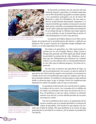 El desarrollo económico de esta zona ha sido una
                                                                  fusión de minería y agricultura. La minería representa
                                                                  casi el 40% del producto geográfico en ambas regiones
                                                                  y los yacimientos principales son los de hierro (El
                                                                  Romeral) y cobre (Los Pelambres). En esta zona so-
                                                                  brevive un tipo humano denominado “pirquinero”; se
                                                                  trata de un hombre que explota con muy pocos recursos
                                                                  (pala, picota, carretillas y una pequeña chancadora) una
                                                                  veta de cobre o plata que luego traslada a una fundición.
                                                                  Es un trabajo del que se obtienen muy bajos ingresos
                                                                  y en los períodos en que el mineral baja su precio, la
                                                                  vida del pirquinero se vuelve muy precaria.
    La minería es una actividad fundamental de la zona y uno de
    los personajes característicos es el pirquinero.                Los puertos de Caldera, Huasco y Los Vilos son los
                                               lugares de recepción de la actividad minera del interior y salida de sus
                                               productos. Por su parte el puerto de Coquimbo cumple múltiples fun-
                                               ciones y es el más importante de la región.
                                                                  En cuanto a la agricultura, los valles transversales re-
                                                              corridos por los ríos Copiapó, Huasco, Elqui, Limarí y
                                                              Choapa han generado una fértil región que desde antaño
                                                              ha permitido la producción de vides, hortalizas, maíz y
                                                              trigo que fue fundamental para abastecer las ciudades
                                                              costeras y la zona salitrera. Hoy se orienta preferentemen-
                                                              te a las vides para la industria pisquera y las frutas de ex-
                                                              portación.
                                                                  En esta zona se practica una agricultura de riego, ya
                                                              que las precipitaciones son escasas y es preciso utilizar el
    Los valles transversales concentran la
    actividad agrícola en la zona. Destaca
                                               agua de los ríos. Pero como las sequías son recurrentes, en ocasiones los
    la producción de uva y la industria        caudales de los ríos son insuficientes para regar los campos y por ello se
    pisquera.                                  han construido embalses. Un embalse es una gran represa o lago artificial
                                               donde se almacena agua, la que se entrega a través de compuertas para
                                               alimentar los canales de regadío, cada vez que sea necesario.
                                                             La ganadería tradicional de esta zona ha sido la caprina.
                                                          Las laderas de los cerros y las veranadas de la cordillera de
                                                          los Andes son utilizadas como tierra de pastoreo de las ca-
                                                          bras. El problema es que las cabras arrancan su alimento
                                                          muchas veces de raíz y con las afiladas pezuñas de sus patas
                                                          erosionan los suelos.
                                                              Uno de los problemas de la zona es el agotamiento de los
                                                           recursos marinos que en el pasado permitían la existencia de
                                                           caletas de pescadores. Son muchos los que migran a las ciu-
    La escasez de precipitaciones en la zona
    a hecho necesaria la construcción de
                                               dades por la falta de trabajo. Otro gran problema es la escasez de agua
    embalses. En la imagen, el embalse La      generada por la actividad de la minería y de las plantas de producción
    Paloma en el valle del río Limarí.         vitivinícola.


132 Unidad 5
 