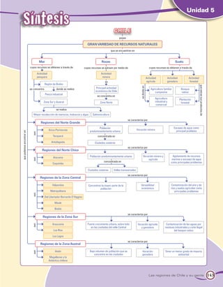 Síntesis
                                                                                                                                                                                       Unidad 5


                                                                                                         chile
                                                                                                             posee

                                                                                gran variedad de recursos naturales
                                                                                                      que se encuentran en


                                    Mar                                                      Rocas                                                                            Suelo
                           cuyos recursos se obtienen a través de             cuyos recursos se extraen por medio de                                cuyos recursos se obtienen a través de

                                   Actividad                                                Actividad
                                   pesquera                                                  minera                                               Actividad          Actividad           Actividad
                                                                                                es                                                agrícola           ganadera             forestal
                                          Región de Biobío




                                                                                                                                                                                                     que extrae sus productos de
                                                                                                                                   se divide en
                           se concentra              donde se realiza                  Principal actividad                                            Agricultura familiar        Bosque
                                                                                       económica de Chile                                                 campesina                nativo
                                          Pesca industrial
                                                                                         se concentra en
                                                                                                                                                          Agricultura            Plantación
                                        Zona Sur y Austral                                  Zona Norte                                                    industrial y            forestal
                                                                                                                                                           comercial
                                                     se realiza
                              Mayor recolección de mariscos, moluscos y algas        Salmonicultura
                                                                                                                     se caracteriza por
                                      Regiones del Norte Grande
                                                                                           Población                                                                         Escasez de agua como
                                               Arica-Parinacota                                                                 Vocación minera                                principal problema
                                                                                   predominantemente urbana
que podemos encontrar en


                             son




                                                  Tarapacá                               concentrada en

                                                 Antofagasta                           Ciudades costeras
                                                                                                                     se caracteriza por
                                       Regiones del Norte Chico

                                                   Atacama                         Población predominantemente urbana                    Vocación minera y                Agotamiento de recursos
                             son




                                                                                                                                             agrícola                    marinos y escasez de agua
                                                                                               concentrada en                                                            como principales problemas
                                                  Coquimbo

                                                                                 Ciudades costeras       Valles transversales
                                                                                                                     se caracteriza por
                                     Regiones de la Zona Central

                                                  Valparaíso                     Concentran la mayor parte de la                   Versatilidad                          Contaminación del aire y de
                                                                                           población                               económica                             ríos y suelos agrícolas como
                                                Metropolitana                                                                                                               principales problemas
                             son




                                          Del Libertador Bernardo O'Higgins

                                                    Maule

                                                    Biobío
                                                                                                                     se caracteriza por
                                        Regiones de la Zona Sur

                                                  Araucanía                      Fuerte crecimiento urbano, sobre todo          Vocación agrícola                   Contaminación de las aguas por
                             son




                                                                                    en las ciudades del valle Central              y ganadera                      residuos industriales y corte ilegal
                                                   Los Ríos                                                                                                                del bosque nativo

                                                  Los Lagos
                                                                                                                     se caracteriza por
                                      Regiones de la Zona Austral

                                                    Aisén                         Bajo volumen de población que se                     Vocación                    Tener un menor grado de impacto
                             son




                                                                                     concentra en las ciudades                         ganadera                               ambiental
                                               Magallanes y la
                                               Antártica chilena




                                                                                                                                                    Las regiones de Chile y su gente                                               143
 