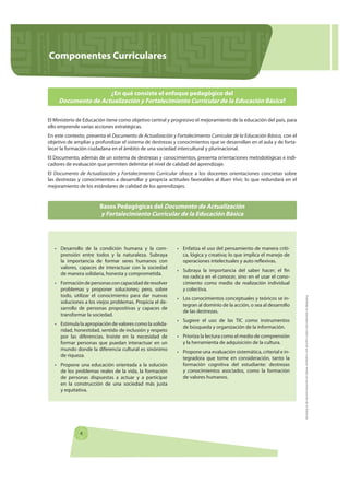 Componentes Curriculares


                     ¿En qué consiste el enfoque pedagógico del
     Documento de Actualización...