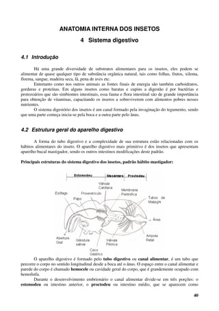 40
ANATOMIA INTERNA DOS INSETOS
4 Sistema digestivo
4.1 Introdução
Há uma grande diversidade de substratos alimentares para os insetos, eles podem se
alimentar de quase qualquer tipo de substância orgânica natural, tais como folhas, frutos, xilema,
floema, sangue, madeira seca, lã, pena de aves etc.
Entretanto como nos outros animais as fontes finais de energia são também carboidratos,
gorduras e proteínas. Em alguns insetos como baratas e cupins a digestão é por bactérias e
protozoários que são simbiontes intestinais, essa fauna e flora intestinal são de grande importância
para obtenção de vitaminas, capacitando os insetos a sobreviverem com alimentos pobres nesses
nutrientes.
O sistema digestório dos insetos é um canal formado pela invaginação do tegumento, sendo
que uma parte começa inicia-se pela boca e a outra parte pelo ânus.
4.2 Estrutura geral do aparelho digestivo
A forma do tubo digestivo e a complexidade de sua estrutura estão relacionadas com os
hábitos alimentares do inseto. O aparelho digestivo mais primitivo é dos insetos que apresentam
aparelho bucal mastigador, sendo os outros intestinos modificações deste padrão.
Principais estruturas do sistema digestivo dos insetos, padrão hábito mastigador:
O aparelho digestivo é formado pelo tubo digestivo ou canal alimentar, é um tubo que
percorre o corpo no sentido longitudinal desde a boca até o ânus. O espaço entre o canal alimentar e
parede do corpo é chamado hemocele ou cavidade geral do corpo, que é grandemente ocupado com
hemolinfa.
Durante o desenvolvimento embrionário o canal alimentar divide-se em três porções: o
estomodeu ou intestino anterior, o proctodeu ou intestino médio, que se aparecem como
 