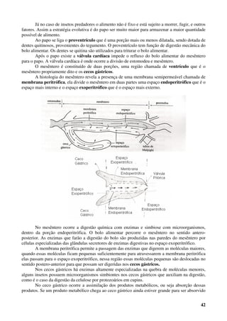 42
Já no caso de insetos predadores o alimento não é fixo e está sujeito a morrer, fugir, e outros
fatores. Assim a estratégia evolutiva é do papo ser muito maior para armazenar a maior quantidade
possível de alimento.
Ao papo se liga o proventrículo que é uma porção mais ou menos dilatada, sendo dotada de
dentes quitinosos, provenientes do tegumento. O proventrículo tem função de digestão mecânica do
bolo alimentar. Os dentes se quitina são utilizados para triturar o bolo alimentar.
Após o papo existe a válvula cardíaca impede o refluxo do bolo alimentar do mesêntero
para o papo. A válvula cardíaca é onde ocorre a divisão de estomodeu e mesêntero.
O mesêntero é constituído de duas porções, uma região chamada de ventrículo que é o
mesêntero propriamente dito e os cecos gástricos.
A histologia do mesêntero revela a presença de uma membrana semipermeável chamada de
membrana peritrófica, ela divide o mesêntero em duas partes uma espaço endoperitrófico que é o
espaço mais interno e o espaço exoperitrófico que é o espaço mais externo.
No mesêntero ocorre a digestão química com enzimas e simbiose com microorganismos,
dentro da porção endoperitrófica. O bolo alimentar percorre o mesêntero no sentido antero-
posterior. As enzimas que farão a digestão do bolo são produzidas nas paredes do mesêntero por
células especializadas das glândulas secretores de enzimas digestivas no espaço exoperitrófico.
A membrana peritrófica permite a passagem das enzimas que digerem as moléculas maiores,
quando essas moléculas ficam pequenas suficientemente para atravessarem a membrana peritrófica
elas passam para o espaço exoperitrófico, nessa região essas moléculas pequenas são deslocadas no
sentido postero-anterior para que possam ser digeridas nos cecos gástricos.
Nos cecos gástricos há enzimas altamente especializadas na quebra de moléculas menores,
alguns insetos possuem microorganismos simbiontes nos cecos gástricos que auxiliam na digestão,
como é o caso da digestão da celulose por protozoários em cupins.
No ceco gástrico ocorre a assimilação dos produtos metabólicos, ou seja absorção dessas
produtos. Se um produto metabólico chega ao ceco gástrico ainda estiver grande para ser absorvido
 