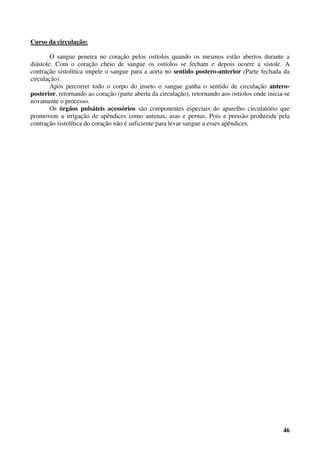 46
Curso da circulação:
O sangue penetra no coração pelos ostíolos quando os mesmos estão abertos durante a
diástole. Com o coração cheio de sangue os ostíolos se fecham e depois ocorre a sístole. A
contração sistolítica impele o sangue para a aorta no sentido postero-anterior (Parte fechada da
circulação).
Após percorrer todo o corpo do inseto o sangue ganha o sentido de circulação antero-
posterior, retornando ao coração (parte aberta da circulação), retornando aos ostíolos onde inicia-se
novamente o processo.
Os órgãos pulsáteis acessórios são componentes especiais do aparelho circulatório que
promovem a irrigação de apêndices como antenas, asas e pernas. Pois a pressão produzida pela
contração sistolítica do coração não é suficiente para levar sangue a esses apêndices.
 