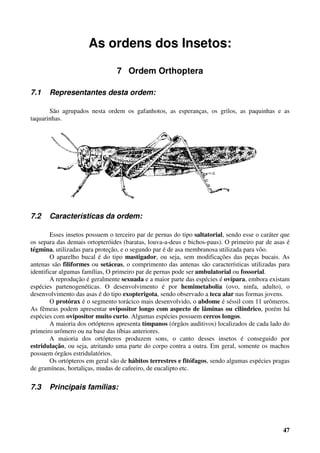 47
As ordens dos Insetos:
7 Ordem Orthoptera
7.1 Representantes desta ordem:
São agrupados nesta ordem os gafanhotos, as esperanças, os grilos, as paquinhas e as
taquarinhas.
7.2 Características da ordem:
Esses insetos possuem o terceiro par de pernas do tipo saltatorial, sendo esse o caráter que
os separa das demais ortopteróides (baratas, louva-a-deus e bichos-paus). O primeiro par de asas é
tégmina, utilizadas para proteção, e o segundo par é de asa membranosa utilizada para vôo.
O aparelho bucal é do tipo mastigador, ou seja, sem modificações das peças bucais. As
antenas são filiformes ou setáceas, o comprimento das antenas são características utilizadas para
identificar algumas famílias, O primeiro par de pernas pode ser ambulatorial ou fossorial.
A reprodução é geralmente sexuada e a maior parte das espécies é ovípara, embora existam
espécies partenogenéticas. O desenvolvimento é por hemimetabolia (ovo, ninfa, adulto), o
desenvolvimento das asas é do tipo exopterigota, sendo observado a teca alar nas formas jovens.
O protórax é o segmento torácico mais desenvolvido, o abdome é séssil com 11 urômeros.
As fêmeas podem apresentar ovipositor longo com aspecto de lâminas ou cilíndrico, porém há
espécies com ovipositor muito curto. Algumas espécies possuem cercos longos.
A maioria dos ortópteros apresenta tímpanos (órgãos auditivos) localizados de cada lado do
primeiro urômero ou na base das tíbias anteriores.
A maioria dos ortópteros produzem sons, o canto desses insetos é conseguido por
estridulação, ou seja, atritando uma parte do corpo contra a outra. Em geral, somente os machos
possuem órgãos estridulatórios.
Os ortópteros em geral são de hábitos terrestres e fitófagos, sendo algumas espécies pragas
de gramíneas, hortaliças, mudas de cafeeiro, de eucalipto etc.
7.3 Principais famílias:
 