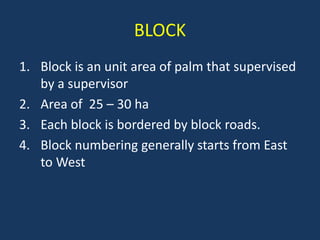 6426793.ppt