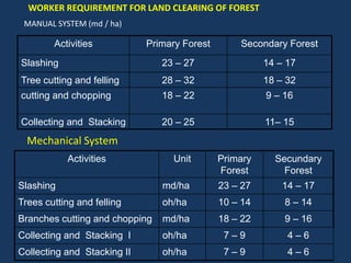 Cmp Chart Tree 6426793.ppt