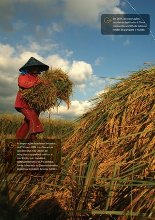 Em 2014, as exportações
brasileiras destinadas à China
representaram 18% de todas as
vendas do país para o mundo.
As importações brasileiras oriundas
da China em 2014 mantiveram-se
concentradas nos setores de
máquinas e aparelhos elétricos e
mecânicos, que, somados,
corresponderam a 48,4% do total.
Fonte: Ministério do Desenvolvimento,
Indústria e Comércio Exterior (MDIC).
 