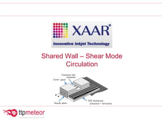 Shared Wall – Shear Mode
Circulation
 