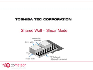 Shared Wall – Shear Mode
 