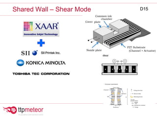 Shared Wall – Shear Mode D15
 