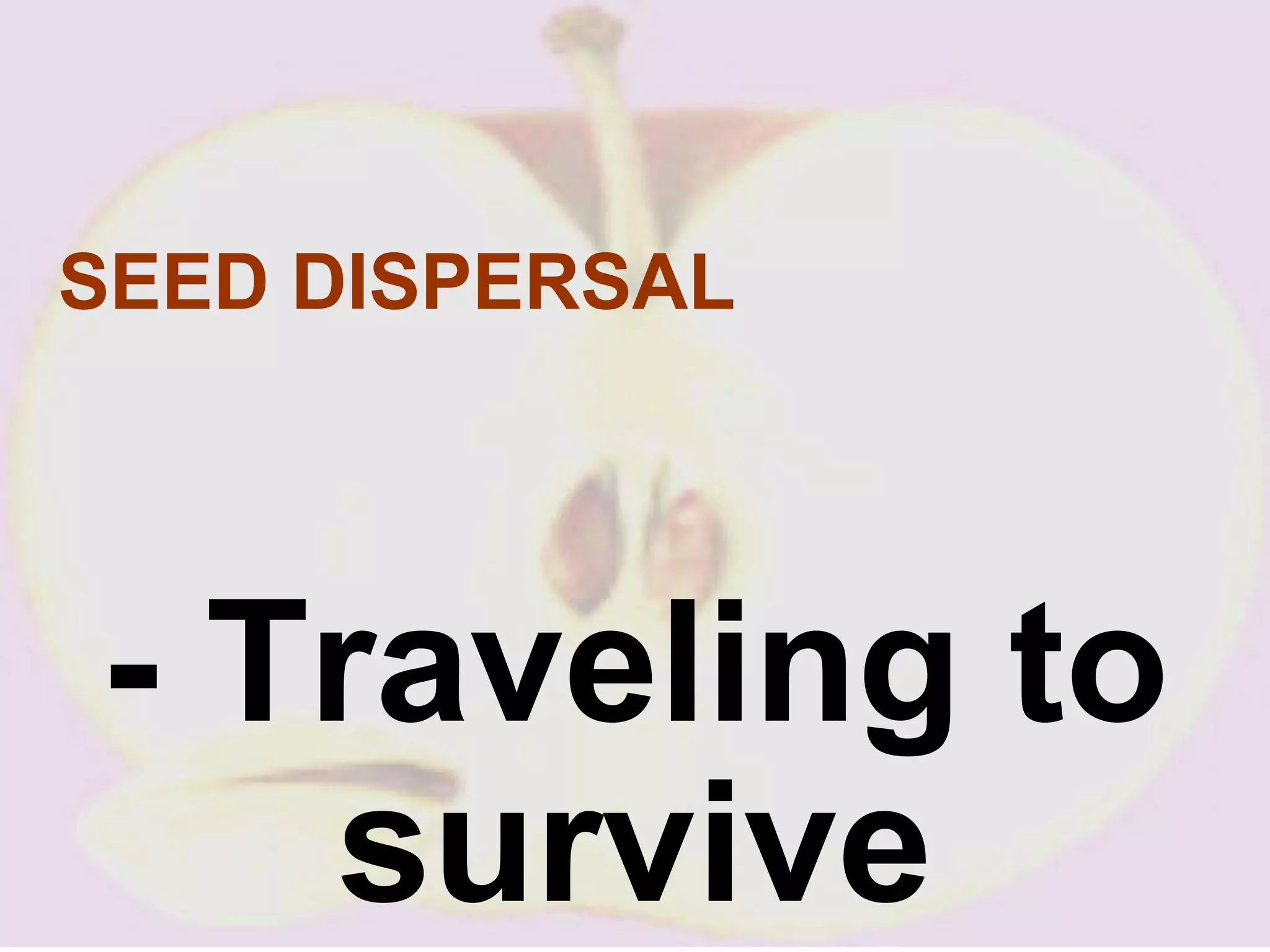 SEED DISPERSAL - Traveling to survive